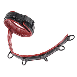 Sportsheets Saffron Adjustable Neck & Wrist Restraints - Horny Stoner