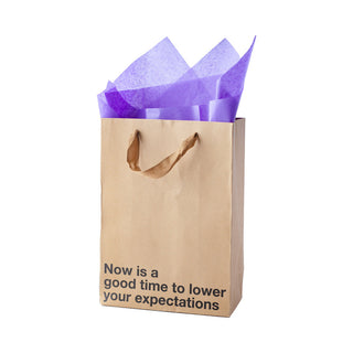 Snarky Gift Bags Lower Your Expectations 3pk - Horny Stoner