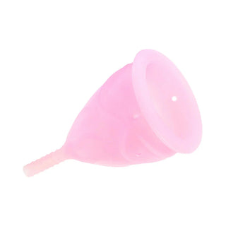 FEMINTIMATE Eve Reusable Silicone Menstrual Cup
