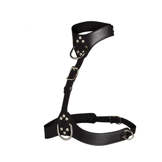 Master Series Vixen Chest Harness