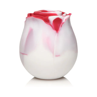 Bloomgasm The Rose Lover's Gift Box Rose Stimulator Gift Wrapped In Heart Shaped Box With Roses