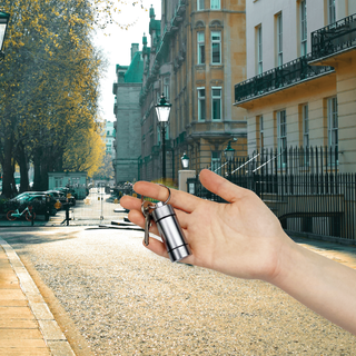 Ongrok Small Storage Keychain - Horny Stoner