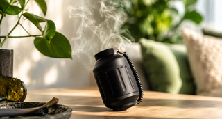 Smoke Buddy Review: Does It Actually Work