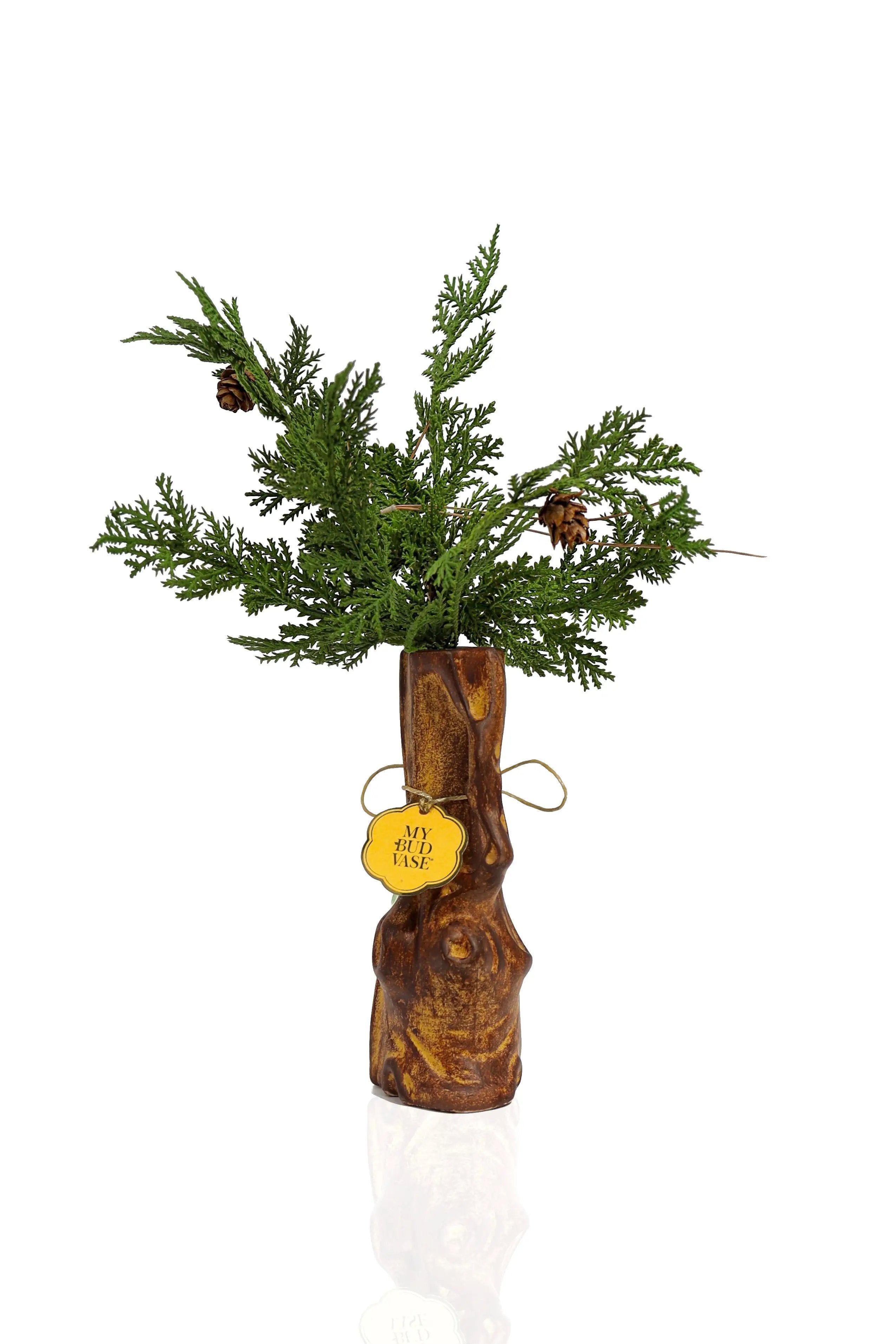 The Tree Vase Bong - Horny Stoner