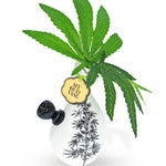 My Bud Vase - Love Bud elegant bong - Horny Stoner