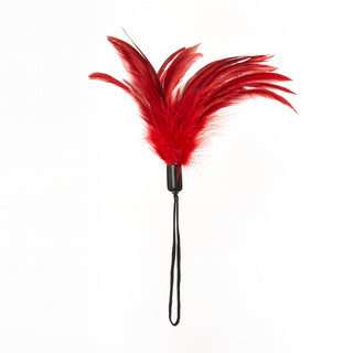 Sportsheets Pleasure Feather Tickler