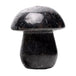 Astrophyllite