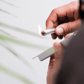 Smoke Honest StashLight - Doob Tube & Refillable Lighter - Horny Stoner