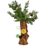 The Tree Vase Bong - Horny Stoner