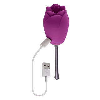 Playboy Petal Rechargeable Silicone Tongue Flicking Vibrator Wild Aster - Horny Stoner