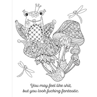 Cheer the F*ck Up Coloring Book - Horny Stoner
