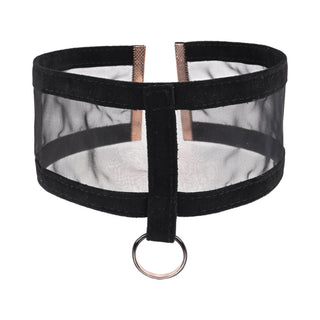 Sportsheets Sex & Mischief Sheer Day Collar - Horny Stoner
