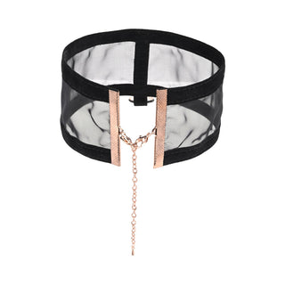 Sportsheets Sex & Mischief Sheer Day Collar - Horny Stoner