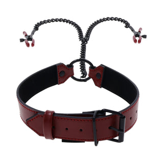 Sportsheets Saffron Collar with Nipple Clamps - Horny Stoner