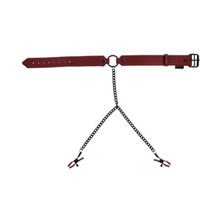Sportsheets Saffron Collar with Nipple Clamps - Horny Stoner