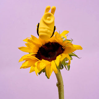 Camtoyz External Thumper Lolly Bumble Bee With Handle