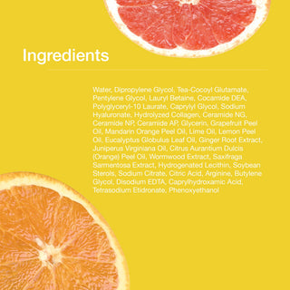 iroha Intimate Wash Foam - Sweet Citrus 5.07 oz | Gentle Cleansing for Intimate Areas