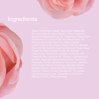 iroha Intimate Wash Foam with Damask Rose & Geranium - 5.07 oz