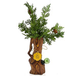 The Tree Vase Bong - Horny Stoner