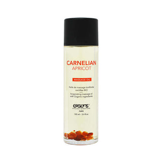 Exsens Massage Oil Carnelian Apricot 3.4 oz. - Horny Stoner