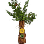 The Tree Vase Bong - Horny Stoner